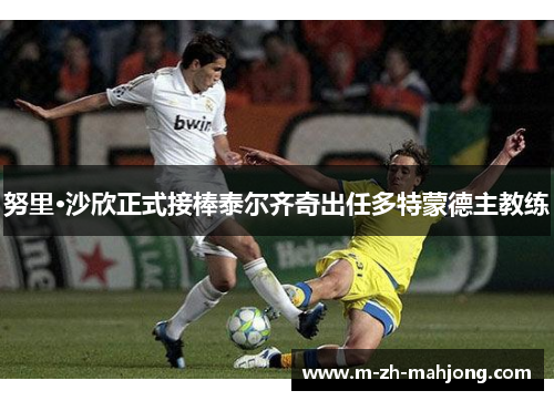 努里·沙欣正式接棒泰尔齐奇出任多特蒙德主教练