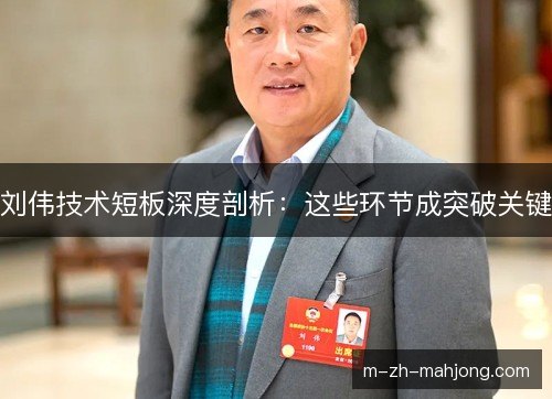 刘伟技术短板深度剖析:这些环节成突破关键 刘伟技术短板深度剖析:这些环节成突破关键