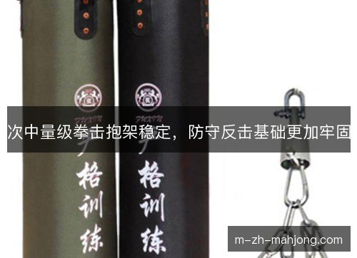 次中量级拳击抱架稳定，防守反击基础更加牢固